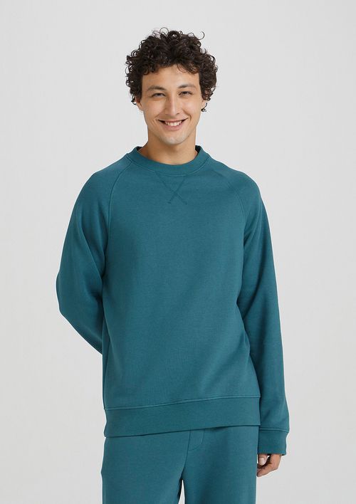 Blusão Básico De Moletom Peluciado Masculino Comfort - Verde