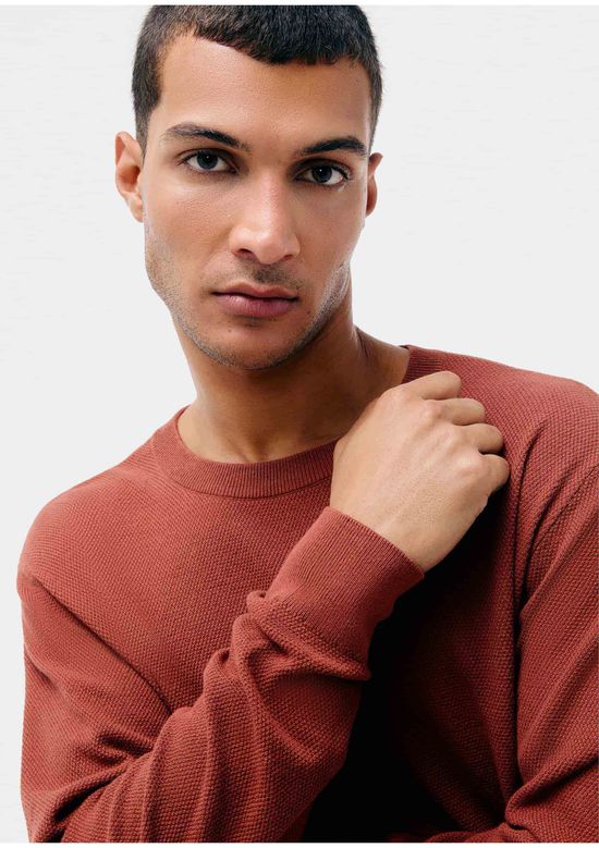 Foto do produto: Suéter Masculino Regular Em Tricô - Marsala