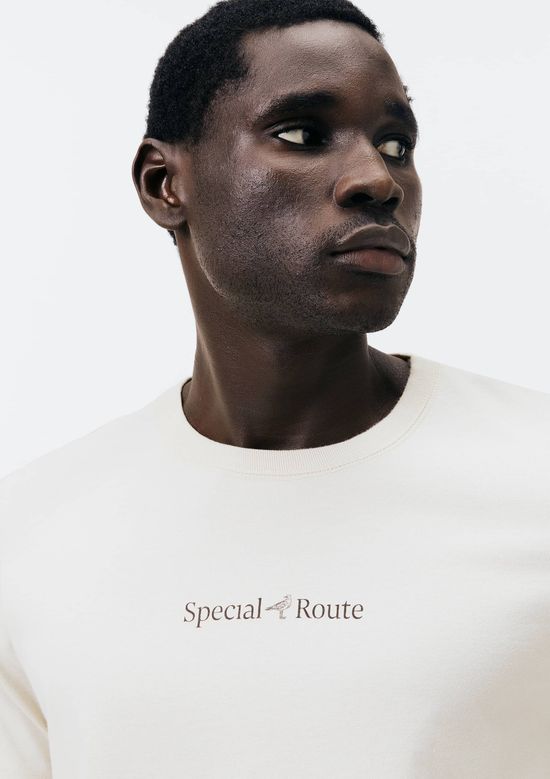 Foto do produto: Camiseta Masculina Comfort Com Estampa - Bege