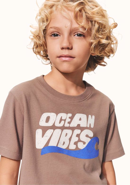 Foto do produto: Camiseta Infantil Menino Manga Curta Com Estampa - Marrom