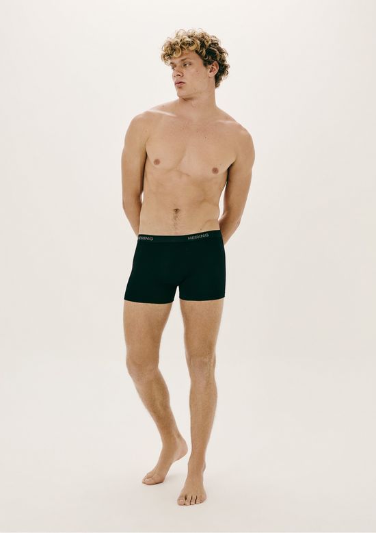 Foto do produto: Kit 10 Cuecas Boxer Com elástico Personalizado - Multicolorido