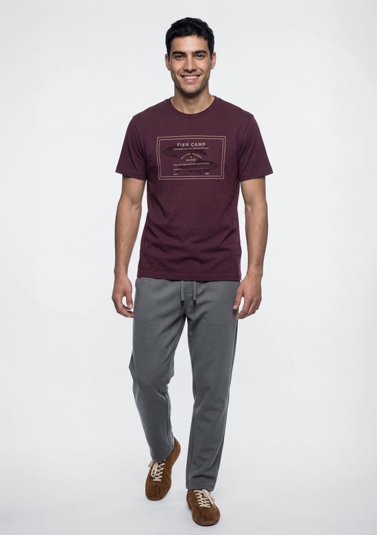 Foto do produto: Camiseta Masculina Manga Curta Com Estampa - Vinho