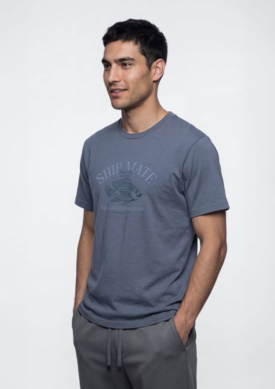 Foto do produto: Camiseta Masculina Manga Curta Com Estampa - Azul