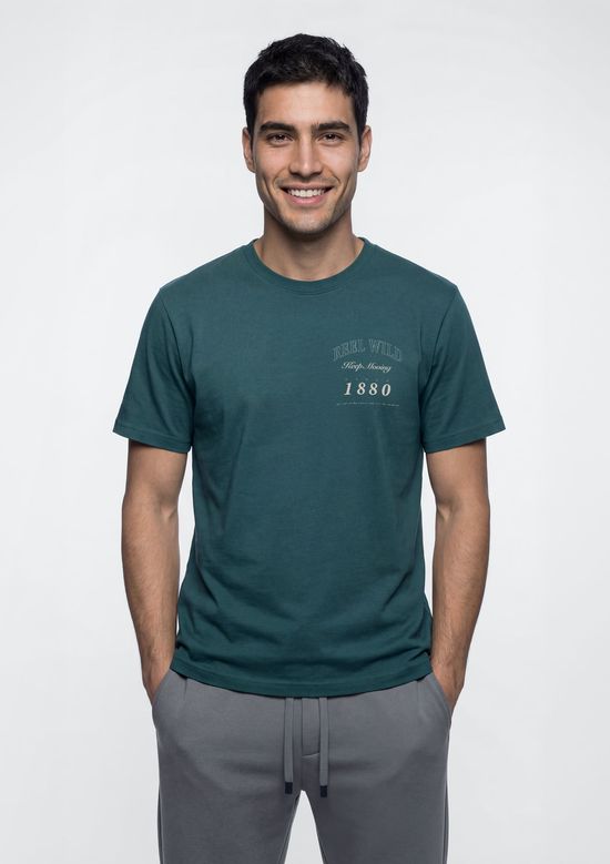 Foto do produto: Camiseta Masculina Manga Curta Com Estampa - Verde