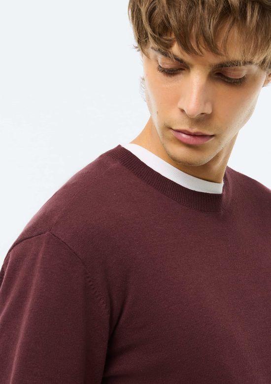 Foto do produto: Suéter Básico Masculino Regular - Vinho